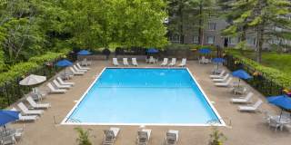 Renaissance Club Gallery 8