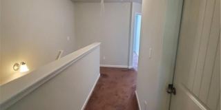 1898 Old Dogwood Gallery 11