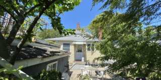 213 Holland St. Gallery 1