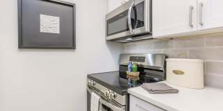 The Julep Gallery 72