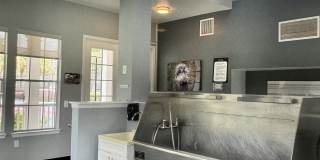 11852 Martin Luther King Street N Gallery 9