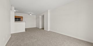 Madden's Pointe Gallery 23