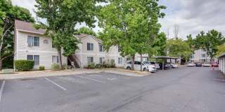 Willow Springs Gallery 2