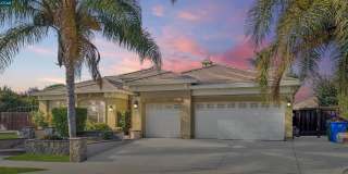 2321 Star Lilly Street Gallery 1