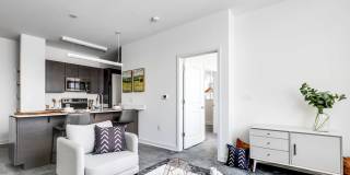The Nest Gallery 13