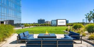 The Modern Gallery 49