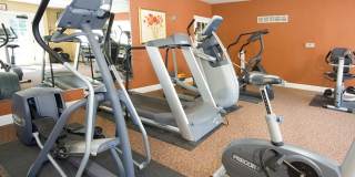 Citadel Village Gallery 26