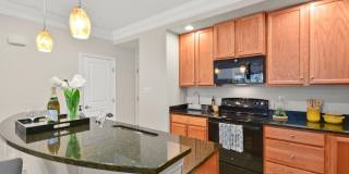6436 ALAN LINTON Boulevard E Gallery 11