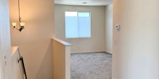 Incredible 4 Bed 3 Bath Home In Sage Estates!!! Gallery 35