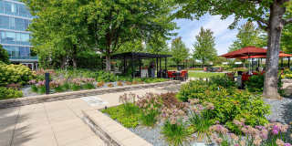 ReNew Oak Park Gallery 65