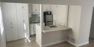 3703 Country Oaks Loop Gallery 8