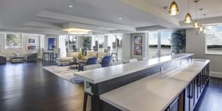 Sofia Coral Gables Gallery 12