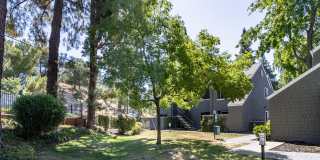 Ygnacio Village Gallery 19