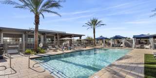 The Aster at Mountain Vista - BRAND NEW Gallery 18