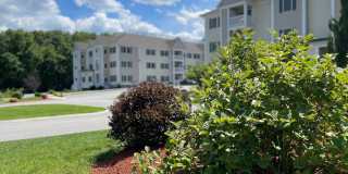 Grassfields Commons Gallery 1