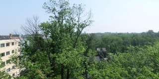 4600 CONNECTICUT Avenue NW unit: 630 Gallery 30