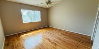 Townhome in Palm Harbor Gallery 23