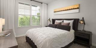 Tapestry at Brentwood Town Center Gallery 14