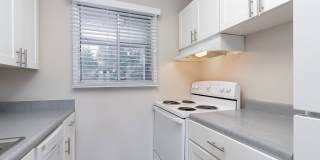 The Maples Gallery 11