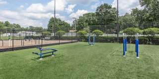 Lake Brandt Apartments Gallery 19