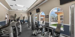 Las Torres Gallery 19