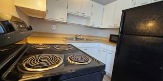 Close to Stapleton - Anschutz - DIA - Renovated 1 Bedroom With Balcony Gallery 17