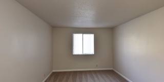 Noah's Landing Gallery 15