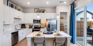 Yardly Elm Gallery 4