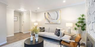 1173 Capri Drive Gallery 3