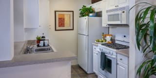 Terra Vista Apartments Gallery 2