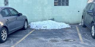 424 Elgin Avenue Gallery 21