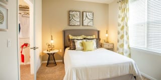 Modera 55 Gallery 10