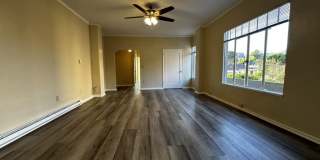 Bellevue Towers Gallery 8