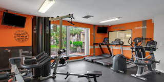 Boca Colony Gallery 8