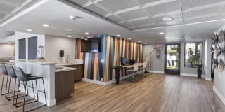 Fountain Palms Gallery 21