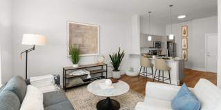 Novi at Concord Gallery 4