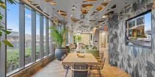 Coda on Half Gallery 2