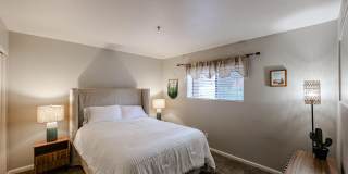 4704 E Paradise Village Parkway Gallery 20