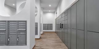 The Kavista Gallery 26