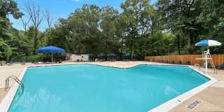 Lerner Springfield Square Apartments Gallery 17