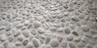 2248 Birch Street Gallery 34