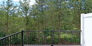 $500 off 1st Month's Rent! Pet-Friendly Crozet Living Gallery 21