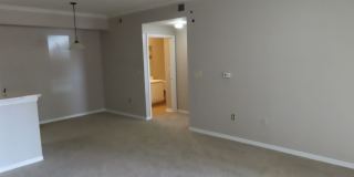 5608 Pinnacle Heights Cir #109 Gallery 5