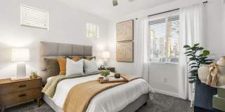 The Aster at Mountain Vista - BRAND NEW Gallery 12