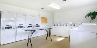 Bowman Heights Gallery 15