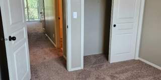 AV16564 AV16564 Gallery 20