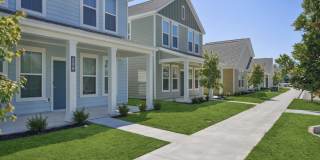 Hamlet Wildlight Gallery 5