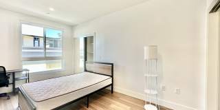 Barry Diamond Gallery 12