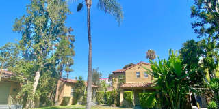 5225 De Longpre Ave. Gallery 38