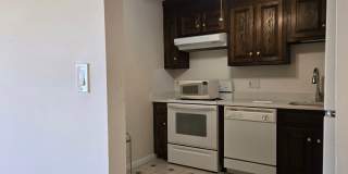 Coolidge Corner, Prime location!  West facing bright condo w/Garage Parking Available 9/1! Walk to Longwood! Gallery 4